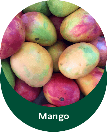 mango-8