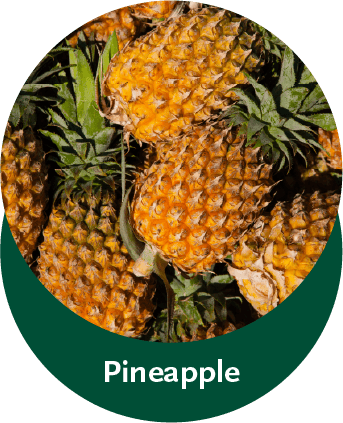 piña-8