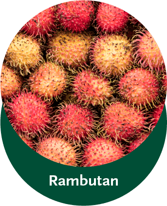 rambutan-8